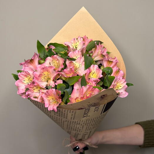 Yellow pink alstra|Sunny Embrace