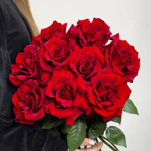 Спец-цена 9 Француских красных роз🌹