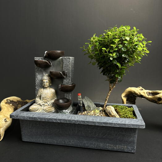 Дерево Мирсина Африканская бонсай в кашпо с автополивом Буддой и живым водопадом