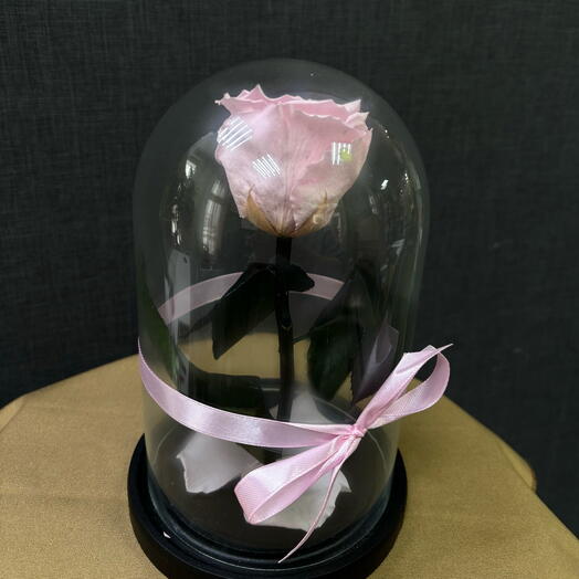 Роза в колбе — Pink mini