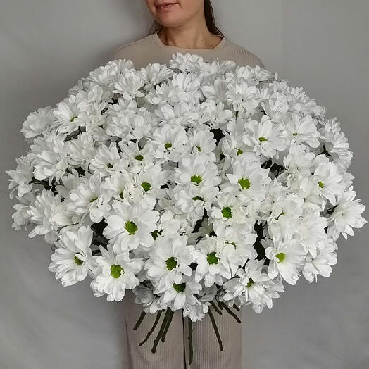 🌼Большой монобукет из ромашковых хризантем под ленту