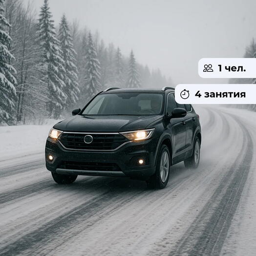 Лёд тронулся!  Курс контраварийного вождения