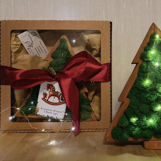 Ёлочка из стабилизированного мха