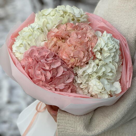 Гортензии 2