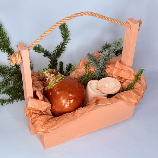 Подарочный набор с луковичным амариллисом и свечой