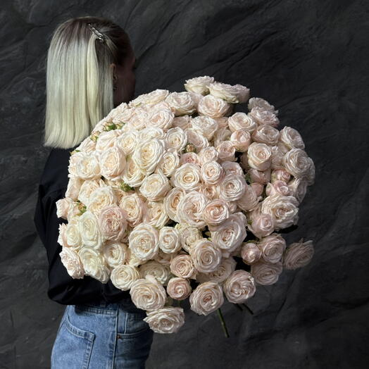 Bombastic 25 (60cm)