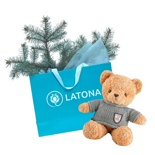 Подарочный пакет