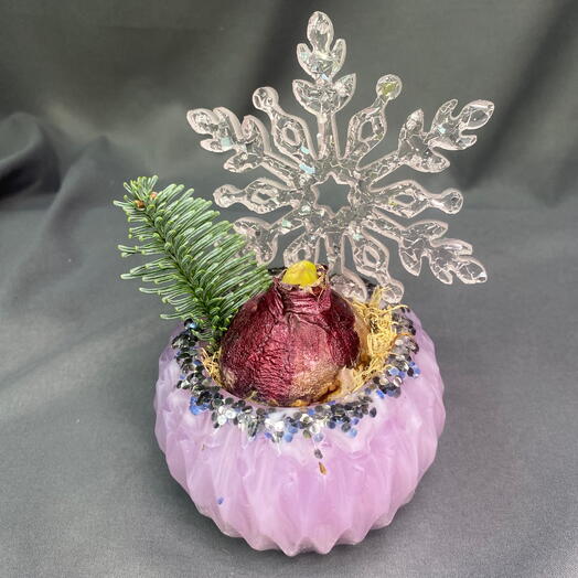 Луковица гиацинта в аметисте со снежинкой