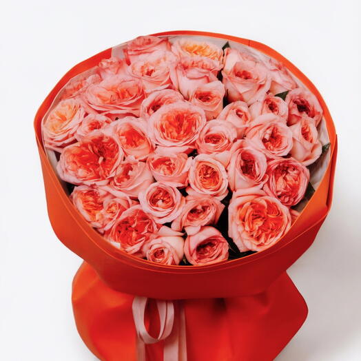 Монобукет III