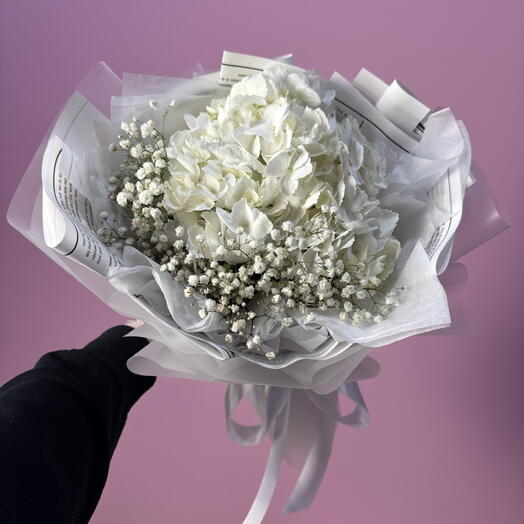 Гортензия с гипсофилой white