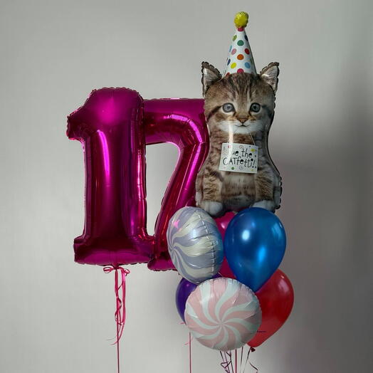 Набор шаров «Sweet 17 Cat»