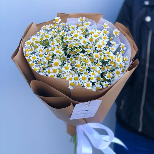 Ромашки
