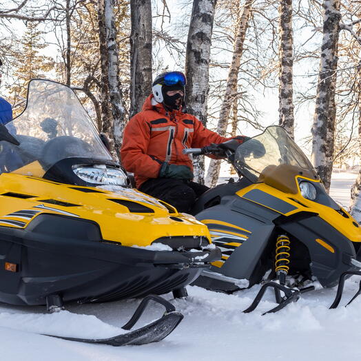 Подарочный сертификат «Обзорный тур на снегоходах для двоих» (30 минут, От 1 до 2 чел.)