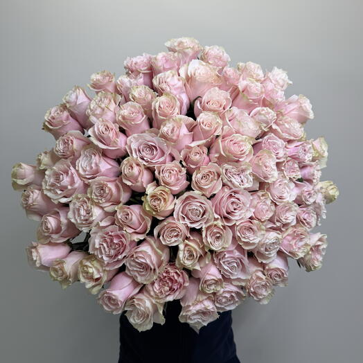 101 Роза Pink Mondial