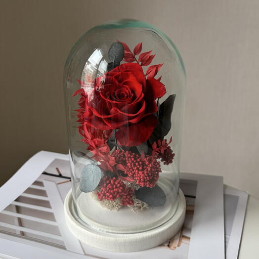 Клош с красной пионовидной стабилизированной розой