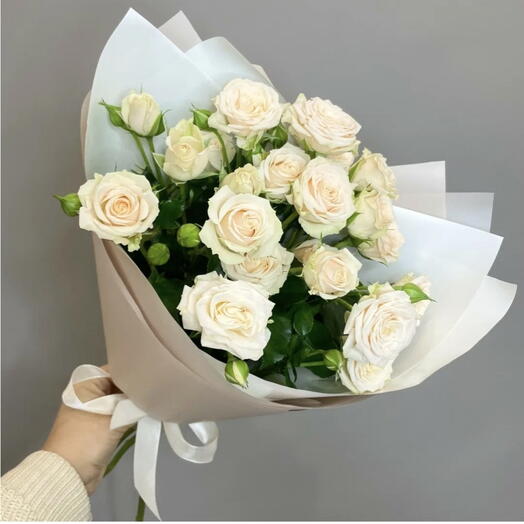Отличные настроения на каждый день