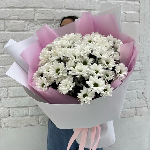 Королевская грация XL