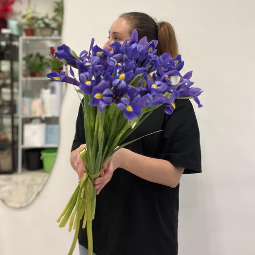 Букет Ирис синий 💙 25 шт