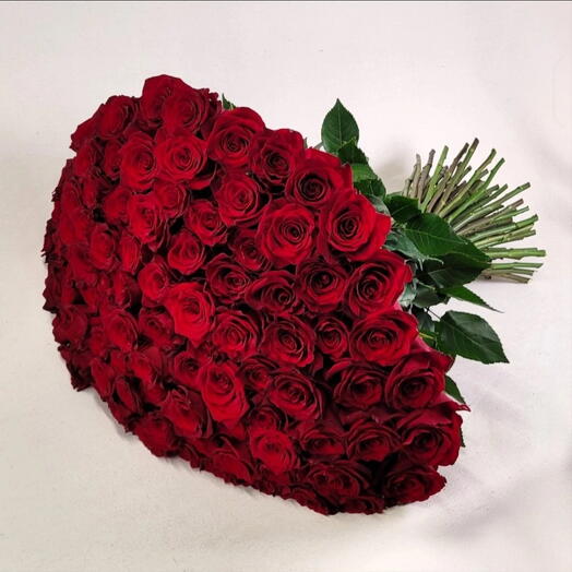 101 Dutch Roses