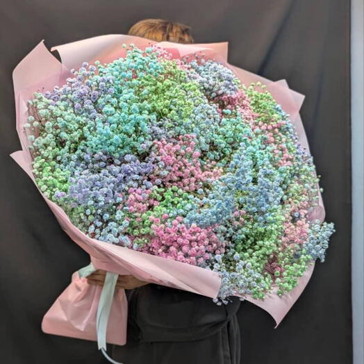 Rainbow Gypsophila