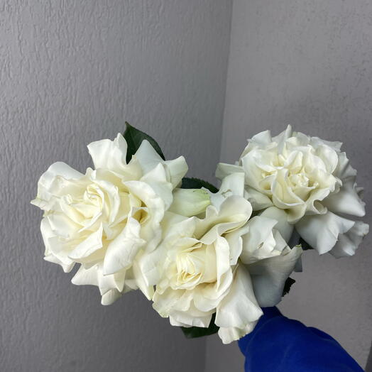 Три французские розы💕