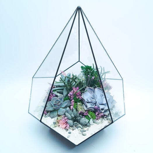 Florarium" ternura de Terciopelo " Gota 22x30cm