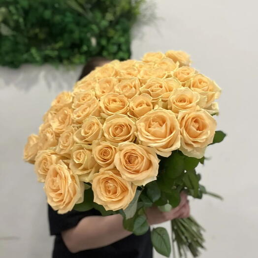 Роза кремовая 
39 шт 
12600