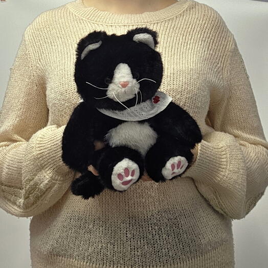Мягкая игрушка котик