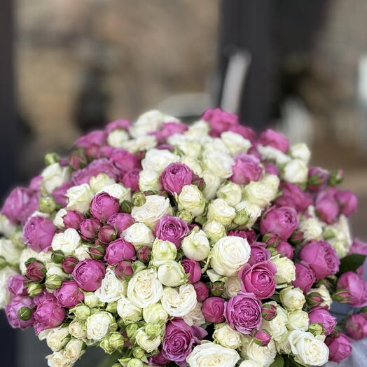 Роза кустовая пионовидная🌸