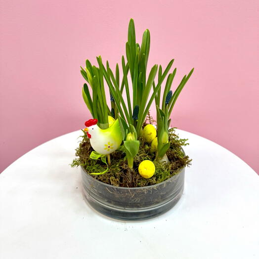 Пасхальный мини сад в стеклянной вазе с нарциссами , тюльпанами  и мускари