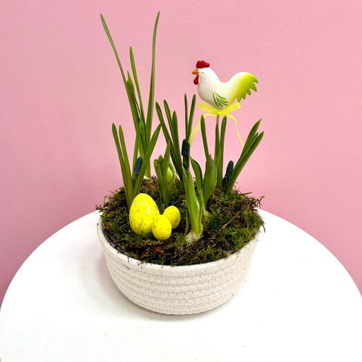 Мини сад в джутовом кашпо с тюльпанами, нарциссами, мускари и декором