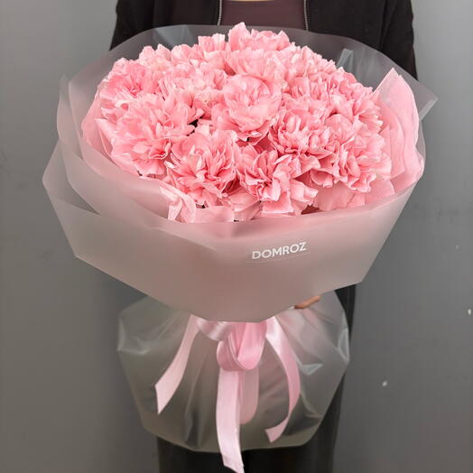 15 pink dianthus