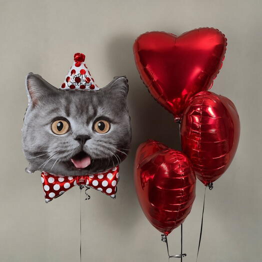 Набор шаров с сердцами и котом «Happy birthday»