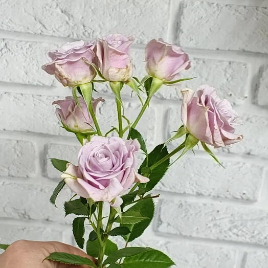 Для тебя