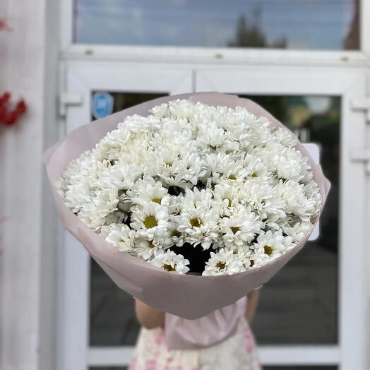 25 ромашковых хризантем