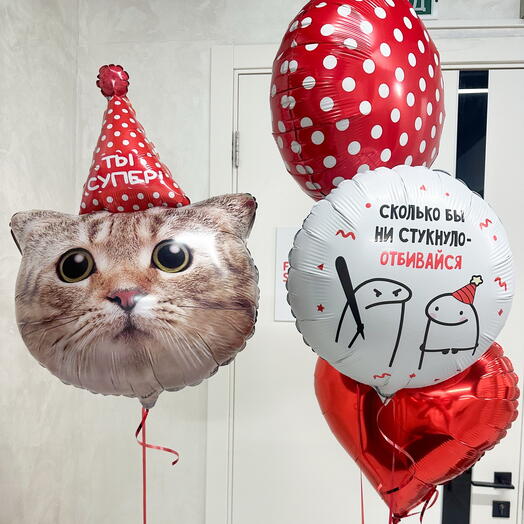 Воздушные шары «Котик в колпаке»