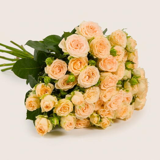 Пачка кустовых роз "Карамель" 50см (10 шт)