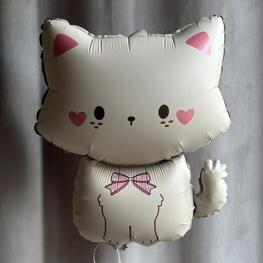 Шар кошечка