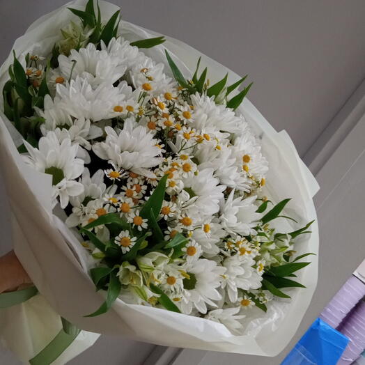 Хризантемы🌼