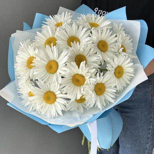 Ромашки в голубом 🥰