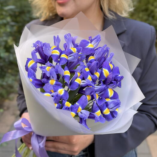 Букет из Ирисов 15 шт