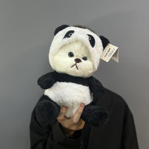 Мишка в костюме панды 🐼