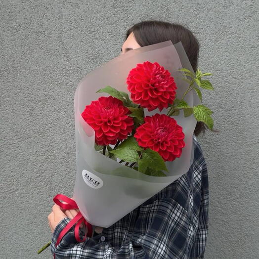 Яркий букет георгинов S