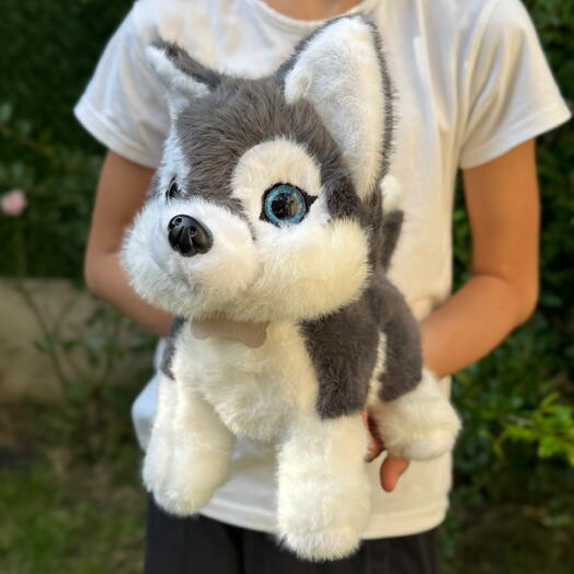 Мягкая игрушка плюшевая собака хаски (1шт). Soft toy dog Husky (1pc)