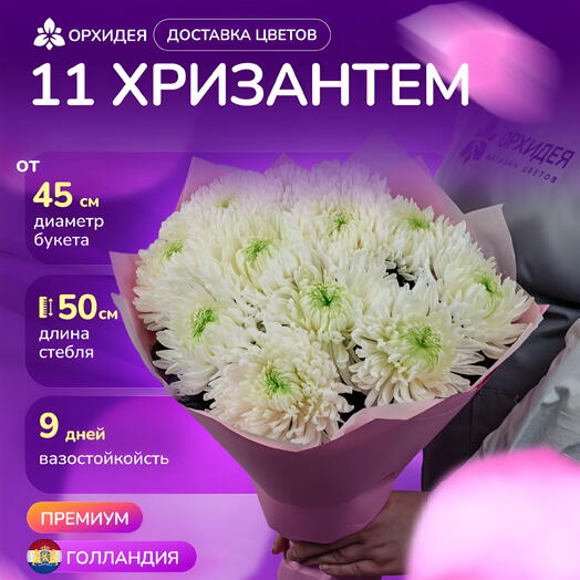 Букет 11 Хризантем магнум белые