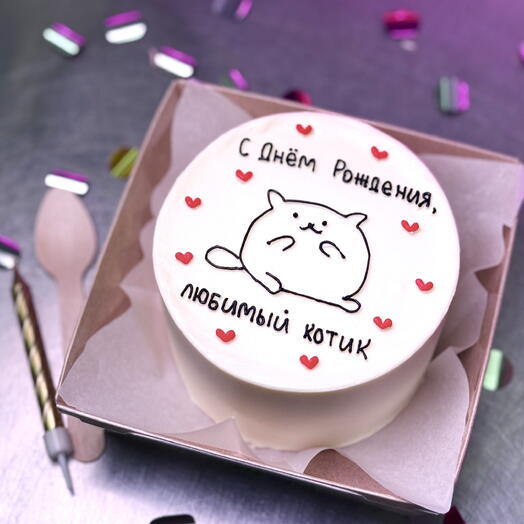 Бенто с днём рождения любимый котик