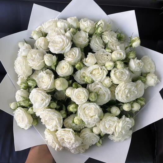 Miss white