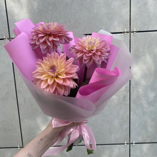 Георгины 3💐💐💐