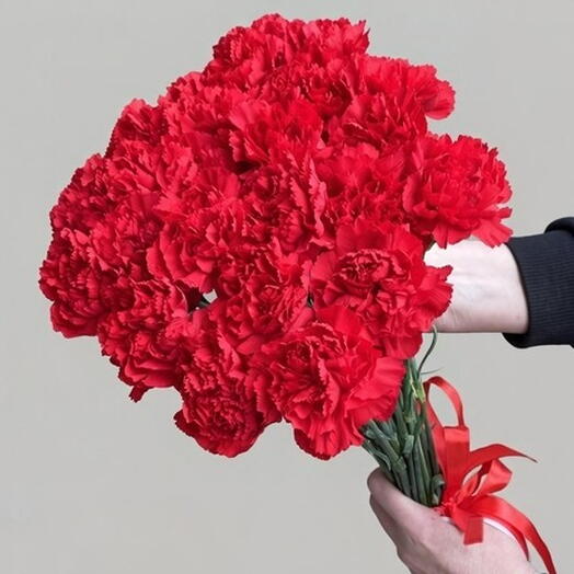 Букет из 25 красных гвоздик
