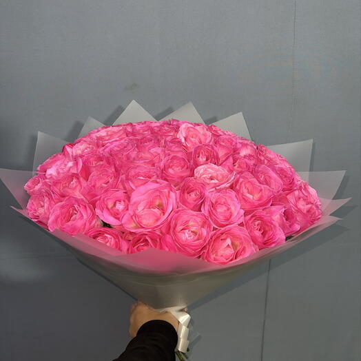 🌹51 РОЗА СОРТА КЭНДИ АВАЛАНЖ🌹